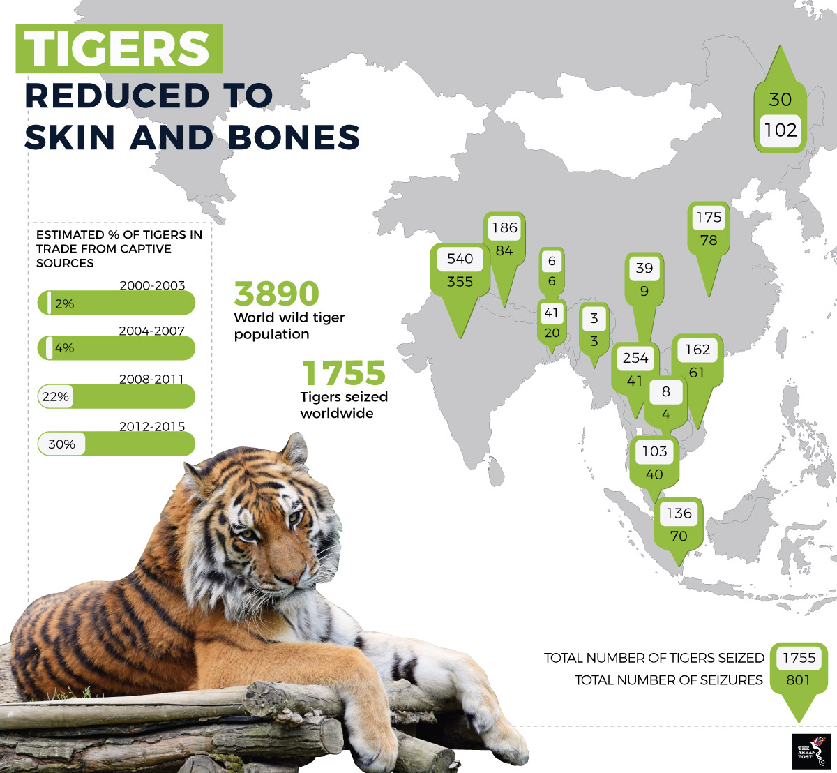 essay on tiger extinction