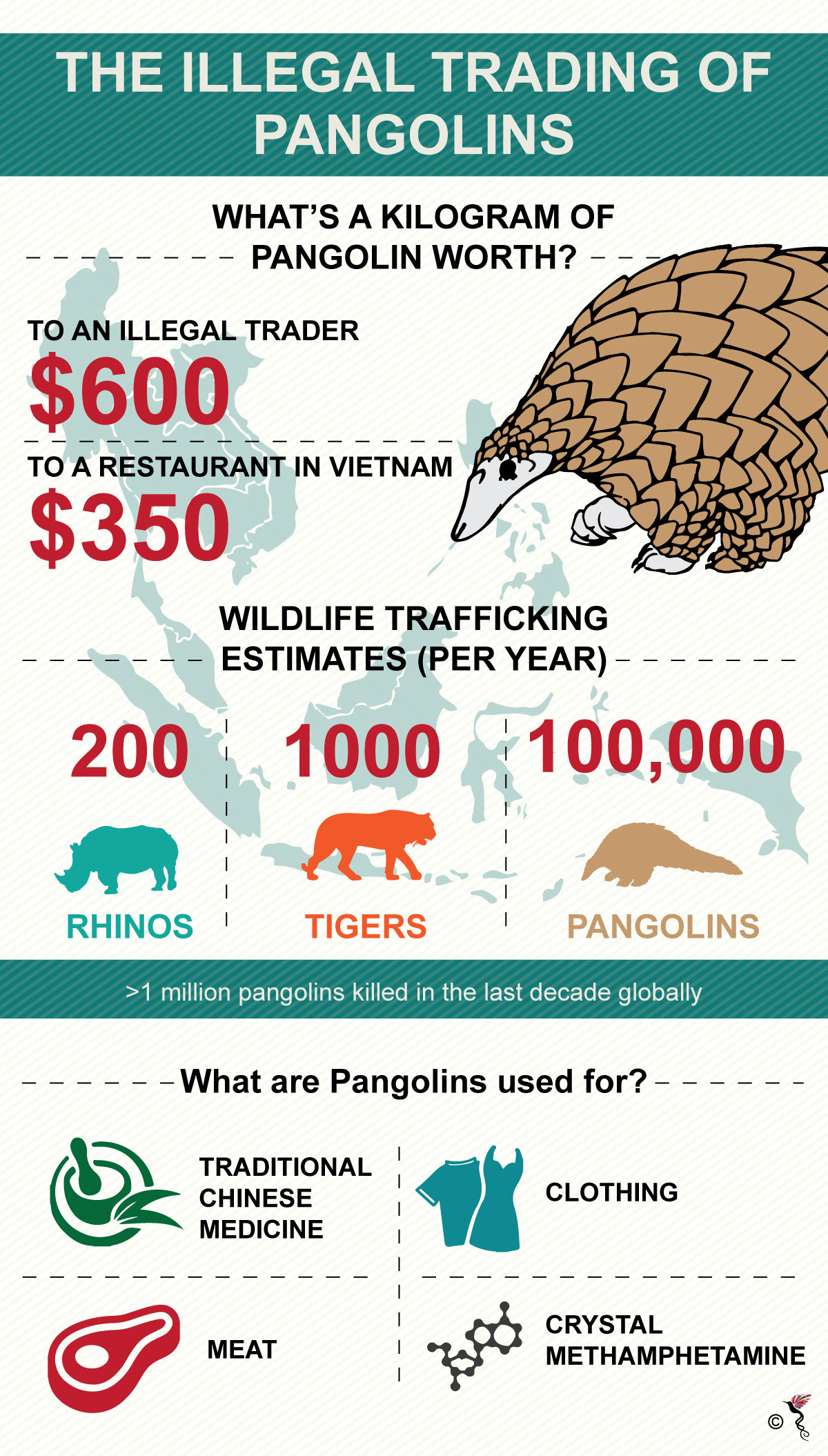 Southeast Asia – Gold mine for pangolin poachers | The ASEAN Post1200 x 2110