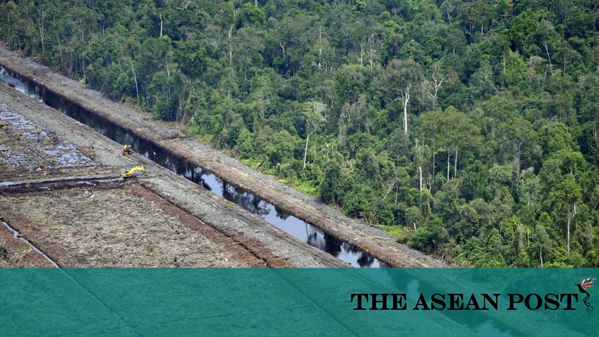 Deforestation A Modernday Plague In Southeast Asia The Asean Post Speech Writer Online also Assignment Online Proposal Essay Format