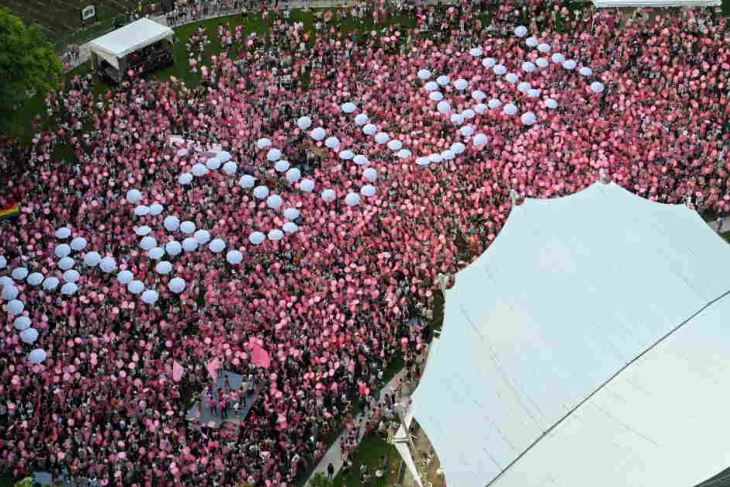 Supporters attend the annual "Pink Dot" event in Singapore 